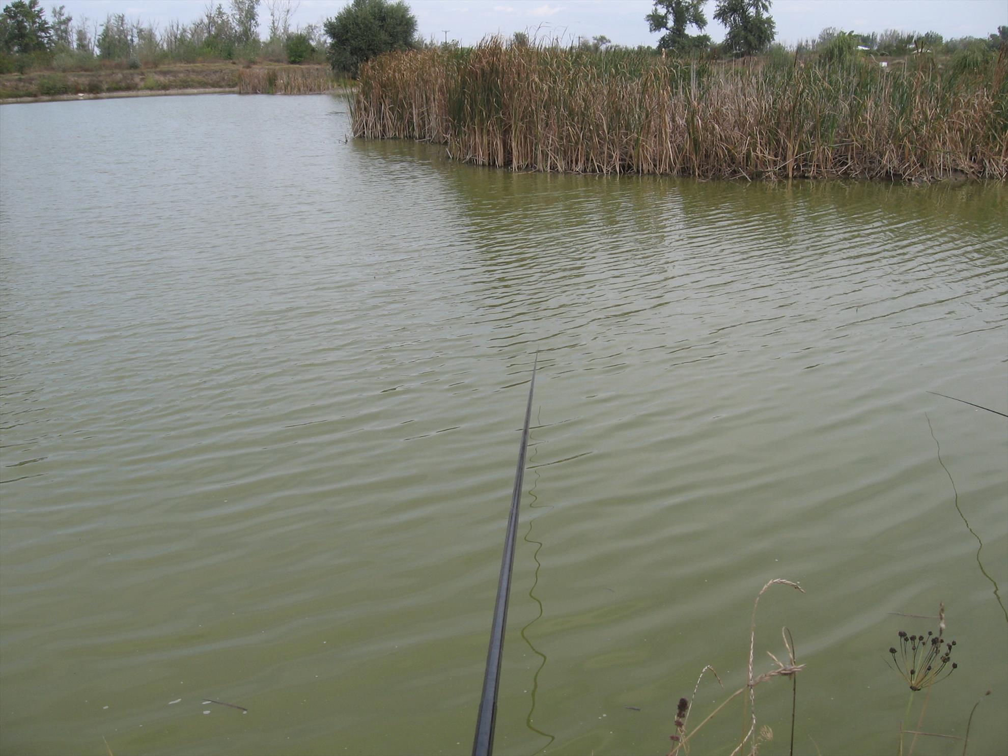 Draglina Biliesti Septembrie 2013 - img0753.JPG